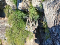 2021-06-05 e 6 FORMEX 1